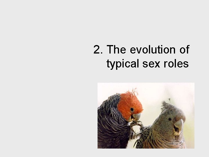 2. The evolution of typical sex roles 
