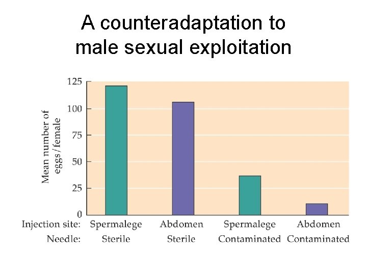 A counteradaptation to male sexual exploitation 