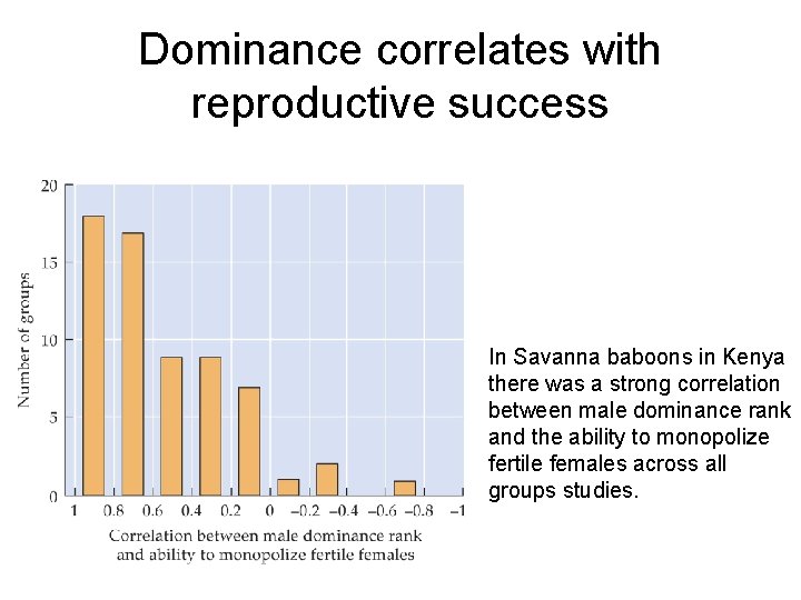 Dominance correlates with reproductive success In Savanna baboons in Kenya there was a strong