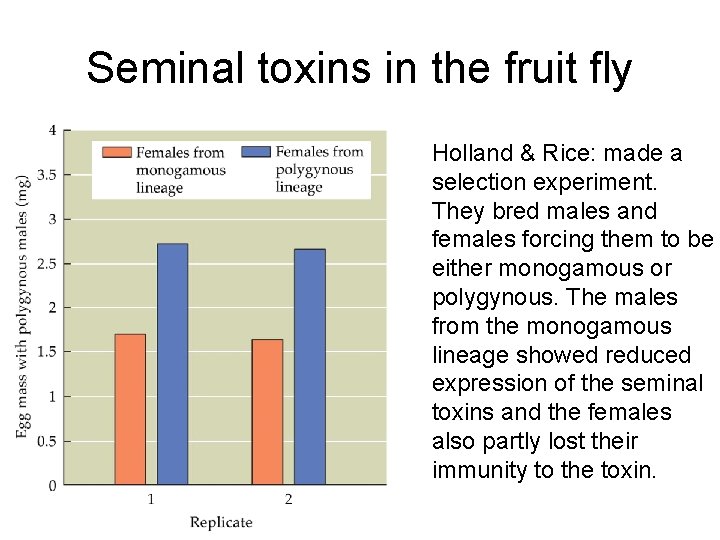 Seminal toxins in the fruit fly Holland & Rice: made a selection experiment. They