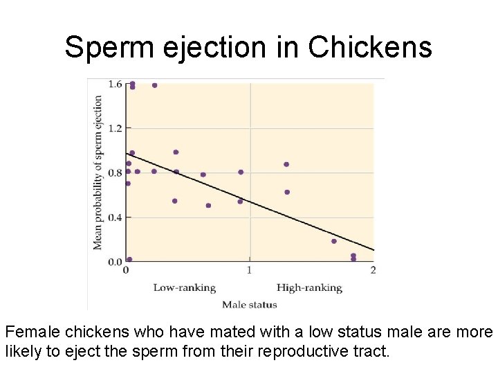 Sperm ejection in Chickens Female chickens who have mated with a low status male