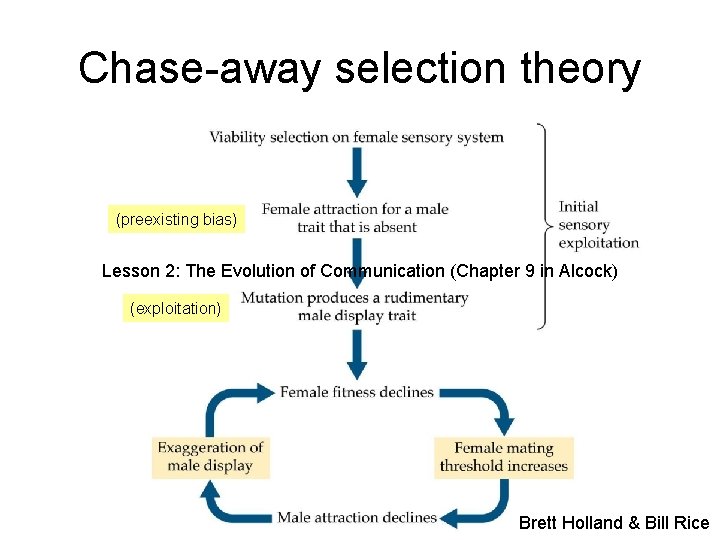 Chase-away selection theory (preexisting bias) Lesson 2: The Evolution of Communication (Chapter 9 in