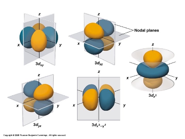 Copyright © 2006 Pearson Benjamin Cummings. All rights reserved. 