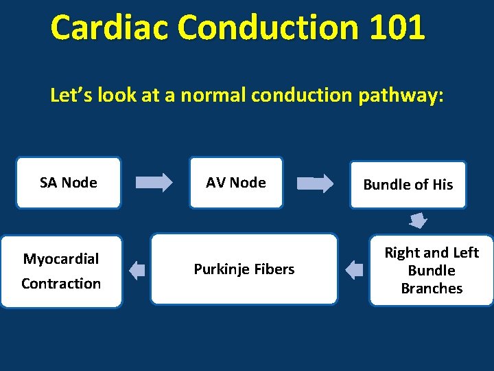 Cardiac Conduction 101 Let’s look at a normal conduction pathway: SA Node Myocardial Contraction