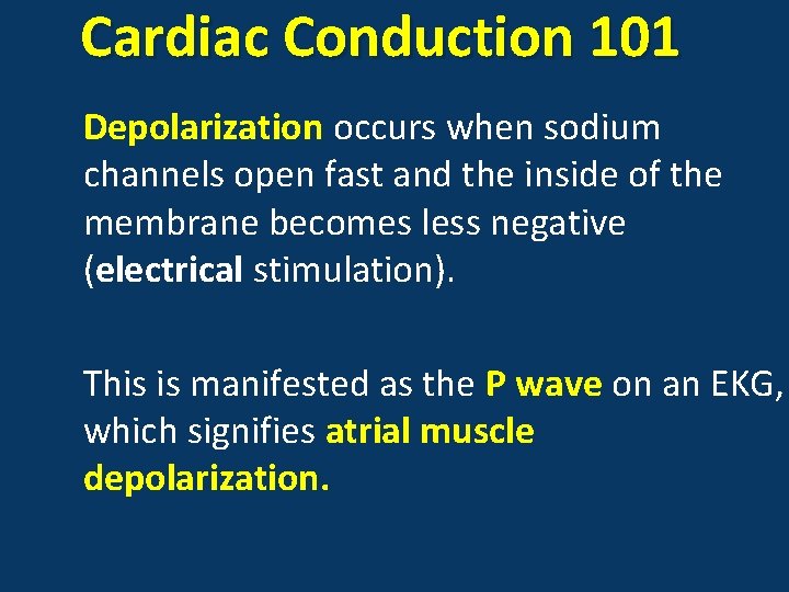 Cardiac Conduction 101 Depolarization occurs when sodium channels open fast and the inside of