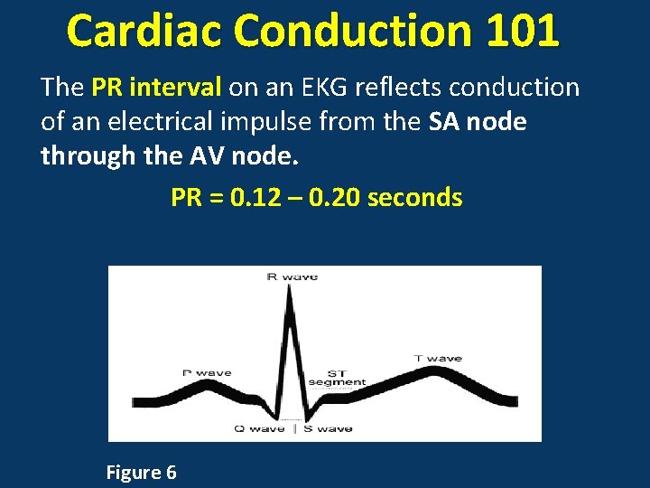 Cardiac Conduction 101 The PR interval on an EKG reflects conduction of an electrical