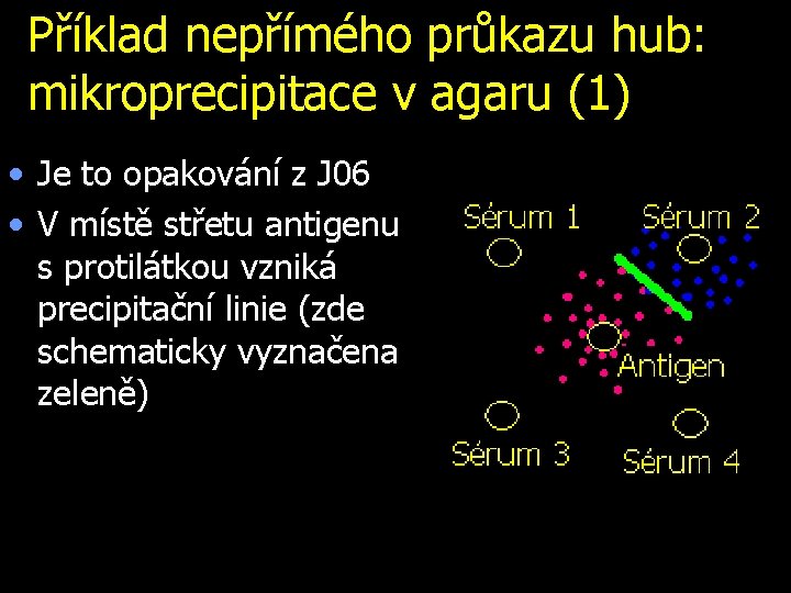 Příklad nepřímého průkazu hub: mikroprecipitace v agaru (1) • Je to opakování z J