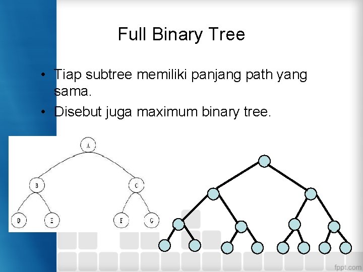 Full Binary Tree • Tiap subtree memiliki panjang path yang sama. • Disebut juga