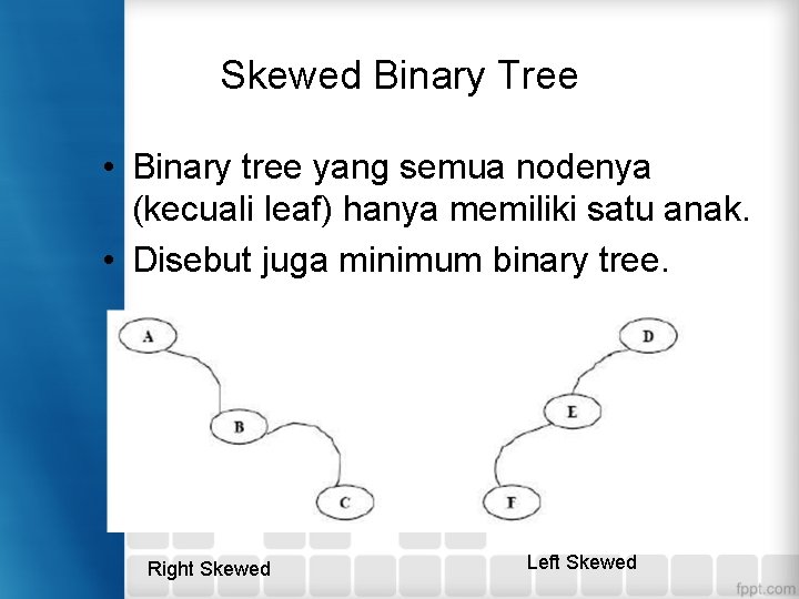 Skewed Binary Tree • Binary tree yang semua nodenya (kecuali leaf) hanya memiliki satu