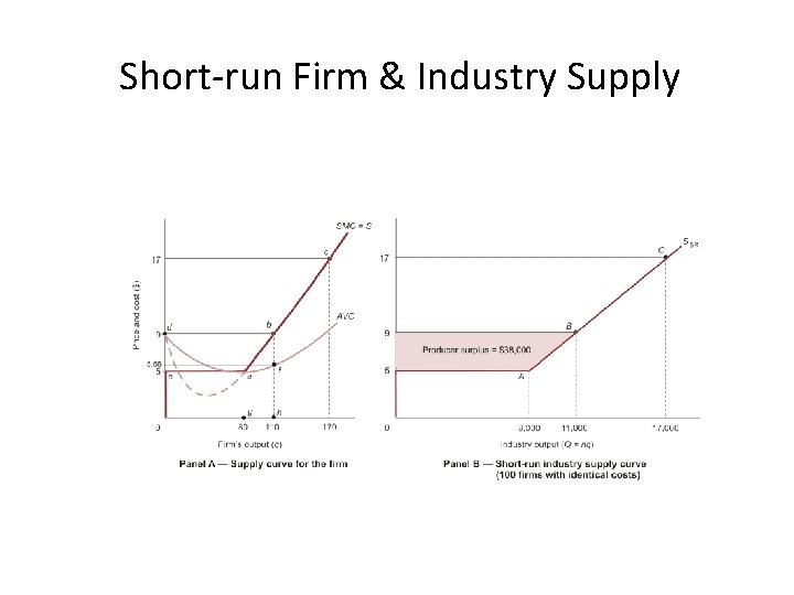 Short-run Firm & Industry Supply 
