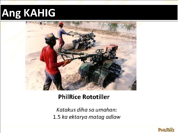 Ang KAHIG Phil. Rice Rototiller Katakus diha sa umahan: 1. 5 ka ektarya matag