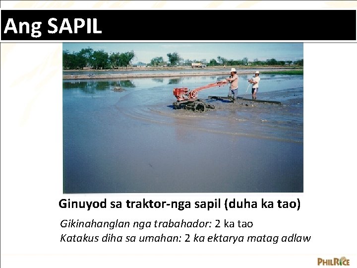 Ang SAPIL Ginuyod sa traktor-nga sapil (duha ka tao) Gikinahanglan nga trabahador: 2 ka