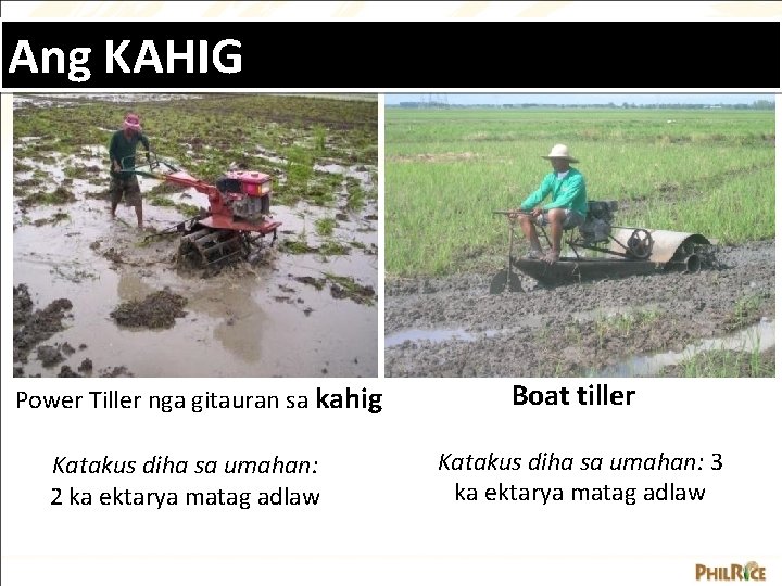 Ang KAHIG Power Tiller nga gitauran sa kahig Katakus diha sa umahan: 2 ka