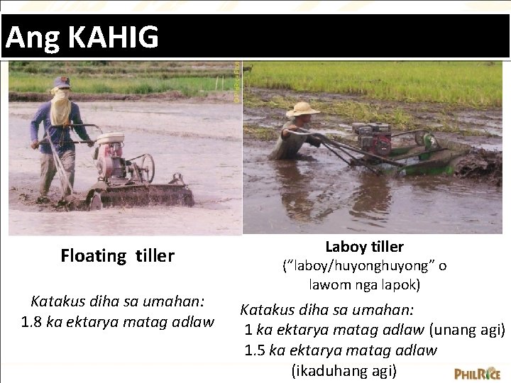 Ang KAHIG Floating tiller Katakus diha sa umahan: 1. 8 ka ektarya matag adlaw