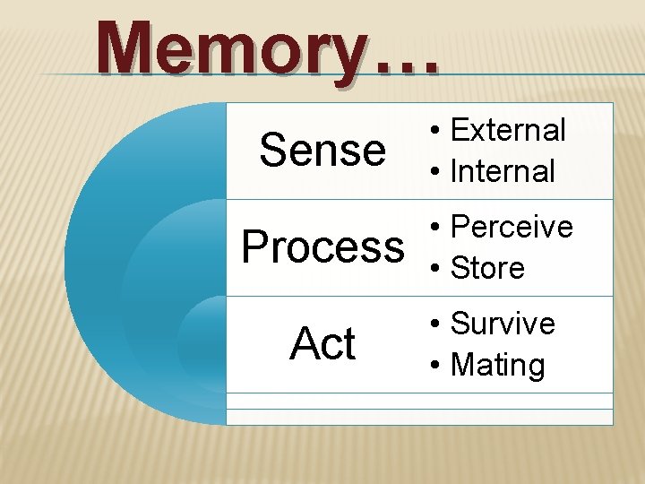 Memory… Sense • External • Internal Process • Perceive • Store Act • Survive