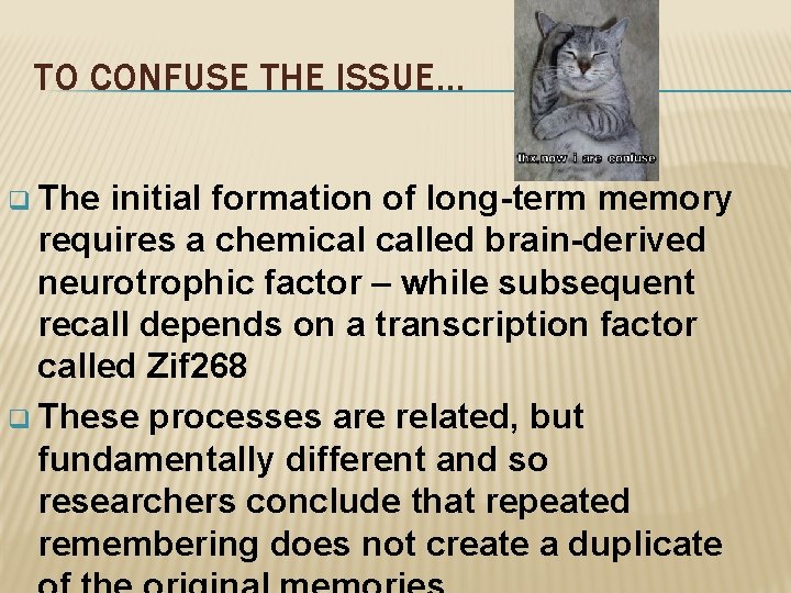 TO CONFUSE THE ISSUE… q The initial formation of long-term memory requires a chemical