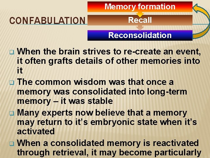 Memory formation CONFABULATION Recall Reconsolidation When the brain strives to re-create an event, it