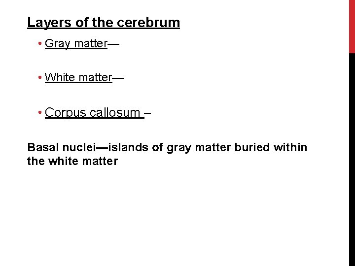 Layers of the cerebrum • Gray matter— • White matter— • Corpus callosum –