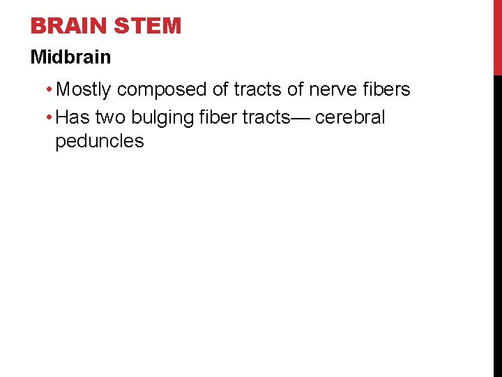 BRAIN STEM Midbrain • Mostly composed of tracts of nerve fibers • Has two