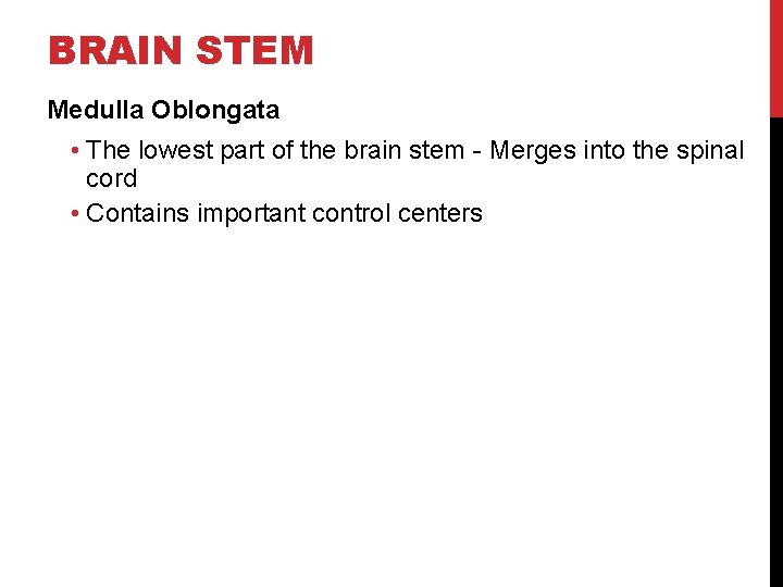 BRAIN STEM Medulla Oblongata • The lowest part of the brain stem - Merges