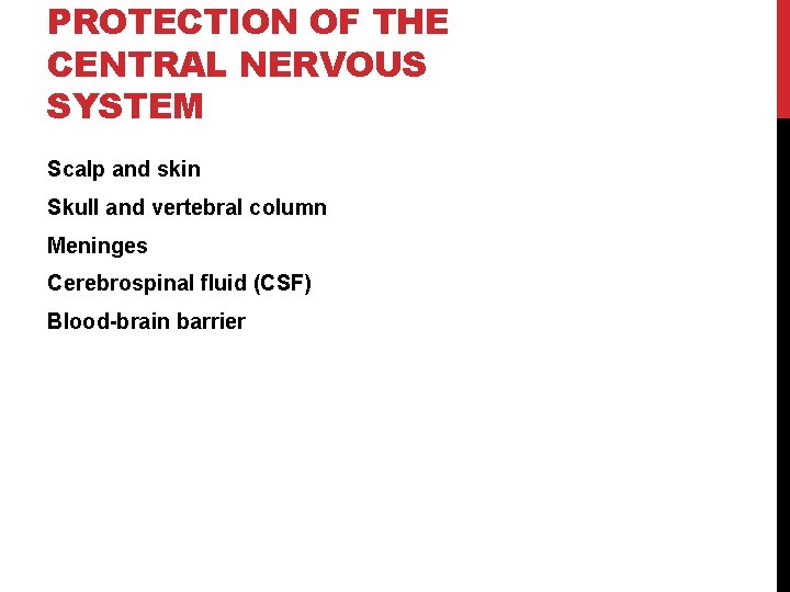 PROTECTION OF THE CENTRAL NERVOUS SYSTEM Scalp and skin Skull and vertebral column Meninges