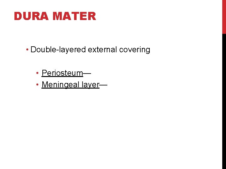 DURA MATER • Double-layered external covering • Periosteum— • Meningeal layer— 