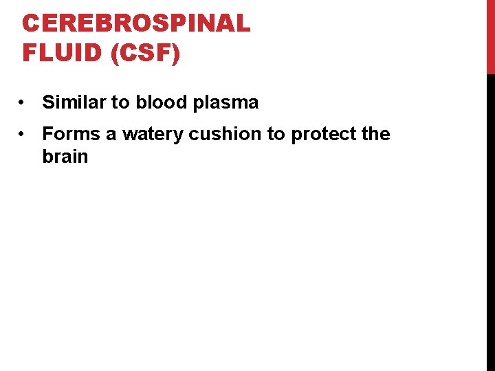 CEREBROSPINAL FLUID (CSF) • Similar to blood plasma • Forms a watery cushion to