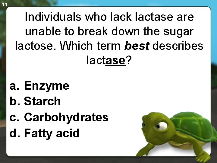 11 Individuals who lack lactase are unable to break down the sugar lactose. Which