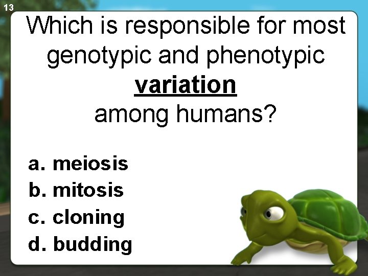 13 Which is responsible for most genotypic and phenotypic variation among humans? a. meiosis