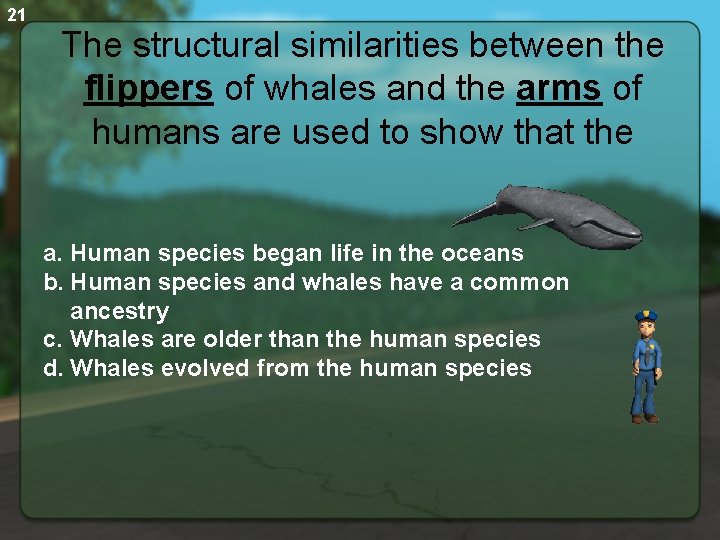 21 The structural similarities between the flippers of whales and the arms of humans