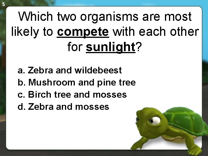 5 Which two organisms are most likely to compete with each other for sunlight?