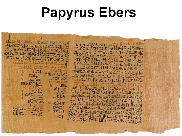 Papyrus Ebers 