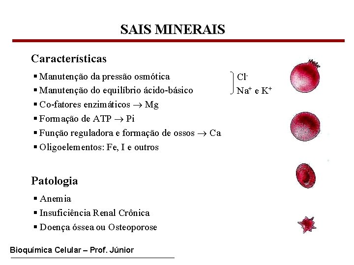 SAIS MINERAIS Características § Manutenção da pressão osmótica § Manutenção do equilíbrio ácido-básico §