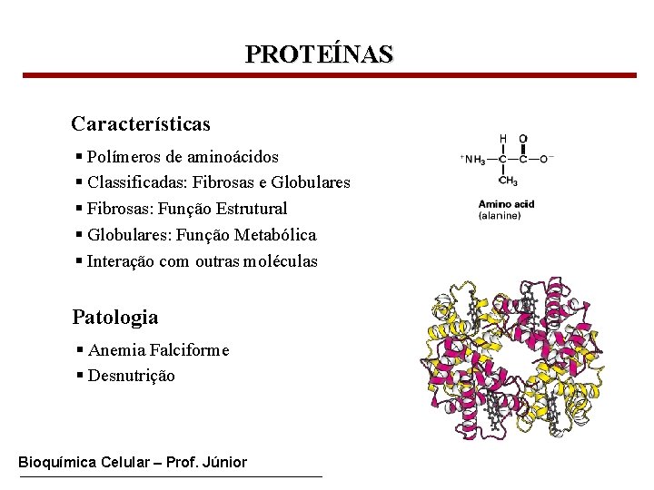 PROTEÍNAS Características § Polímeros de aminoácidos § Classificadas: Fibrosas e Globulares § Fibrosas: Função