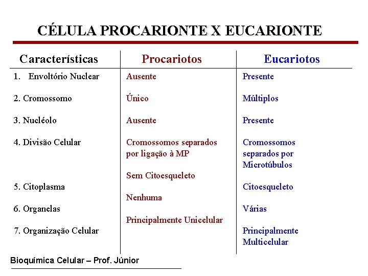 CÉLULA PROCARIONTE X EUCARIONTE Características Procariotos Eucariotos 1. Envoltório Nuclear Ausente Presente 2. Cromossomo