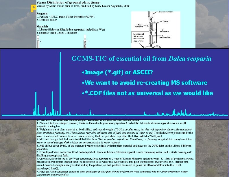 Phyto. Chemistry Database LTER plant species list Protocols Primary Key ID Plant species GCMS-TIC