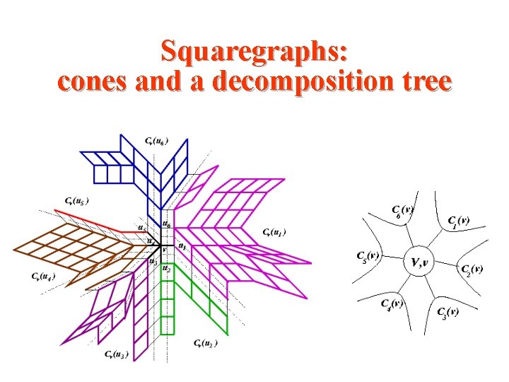 Squaregraphs: cones and a decomposition tree Squaregraphs: cones and a decomposition tree