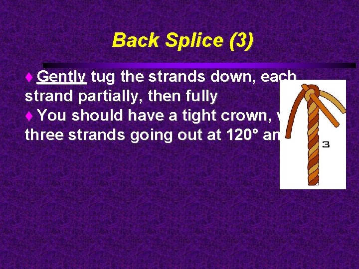 Back Splice (3) Gently tug the strands down, each strand partially, then fully You