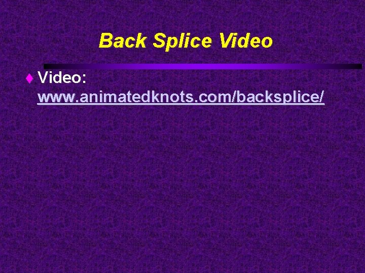 Back Splice Video: www. animatedknots. com/backsplice/ 