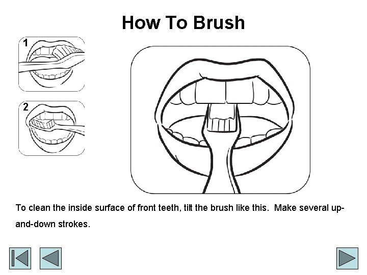 How To Brush 1 2 To clean the inside surface of front teeth, tilt