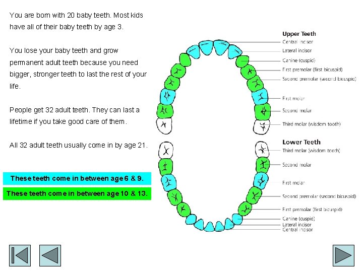 You are born with 20 baby teeth. Most kids have all of their baby