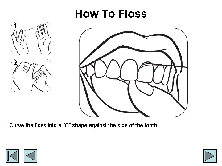 How To Floss 1 2 Curve the floss into a “C” shape against the