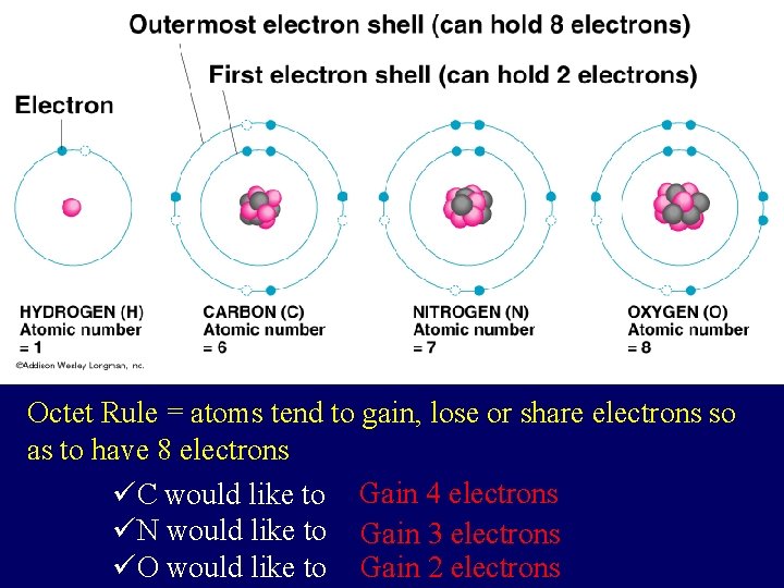 Octet Rule = atoms tend to gain, lose or share electrons so as to