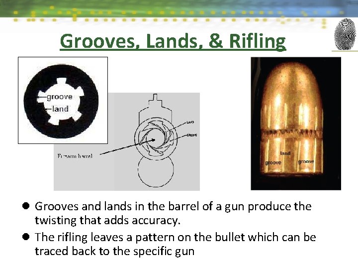 Grooves, Lands, & Rifling l Grooves and lands in the barrel of a gun