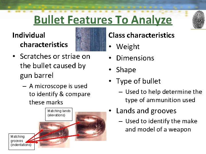 Bullet Features To Analyze Individual characteristics • Scratches or striae on the bullet caused