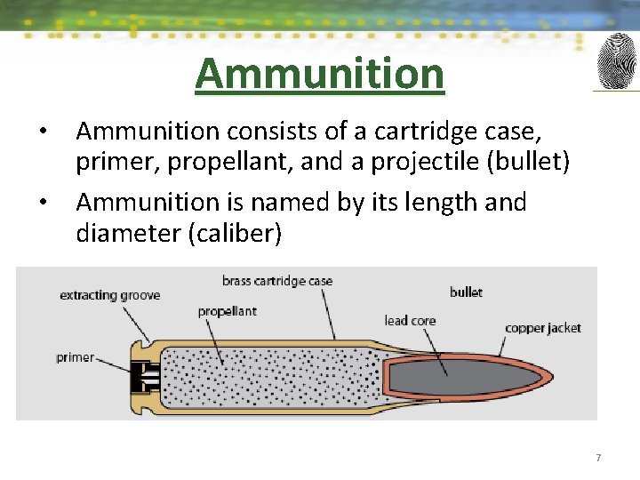 Ammunition consists of a cartridge case, primer, propellant, and a projectile (bullet) • Ammunition