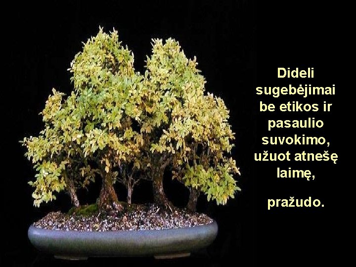 Dideli sugebėjimai be etikos ir pasaulio suvokimo, užuot atnešę laimę, pražudo. Dideli sugebėjimai be etikos ir pasaulio suvokimo, užuot atnešę laimę, pražudo.