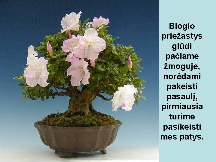 Blogio priežastys glūdi pačiame žmoguje, norėdami pakeisti pasaulį, pirmiausia turime pasikeisti mes patys. Blogio priežastys glūdi pačiame žmoguje, norėdami pakeisti pasaulį, pirmiausia turime pasikeisti mes patys.