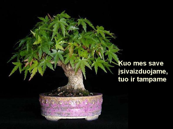 Kuo mes save įsivaizduojame, tuo ir tampame Kuo mes save įsivaizduojame, tuo ir tampame