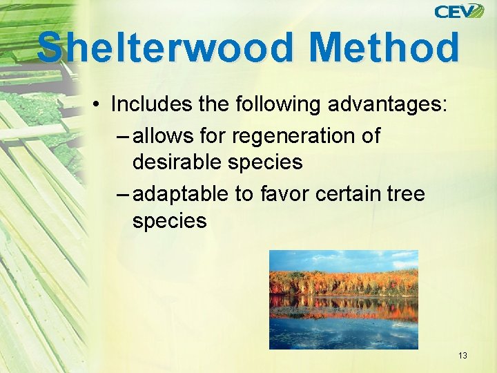 Shelterwood Method • Includes the following advantages: – allows for regeneration of desirable species